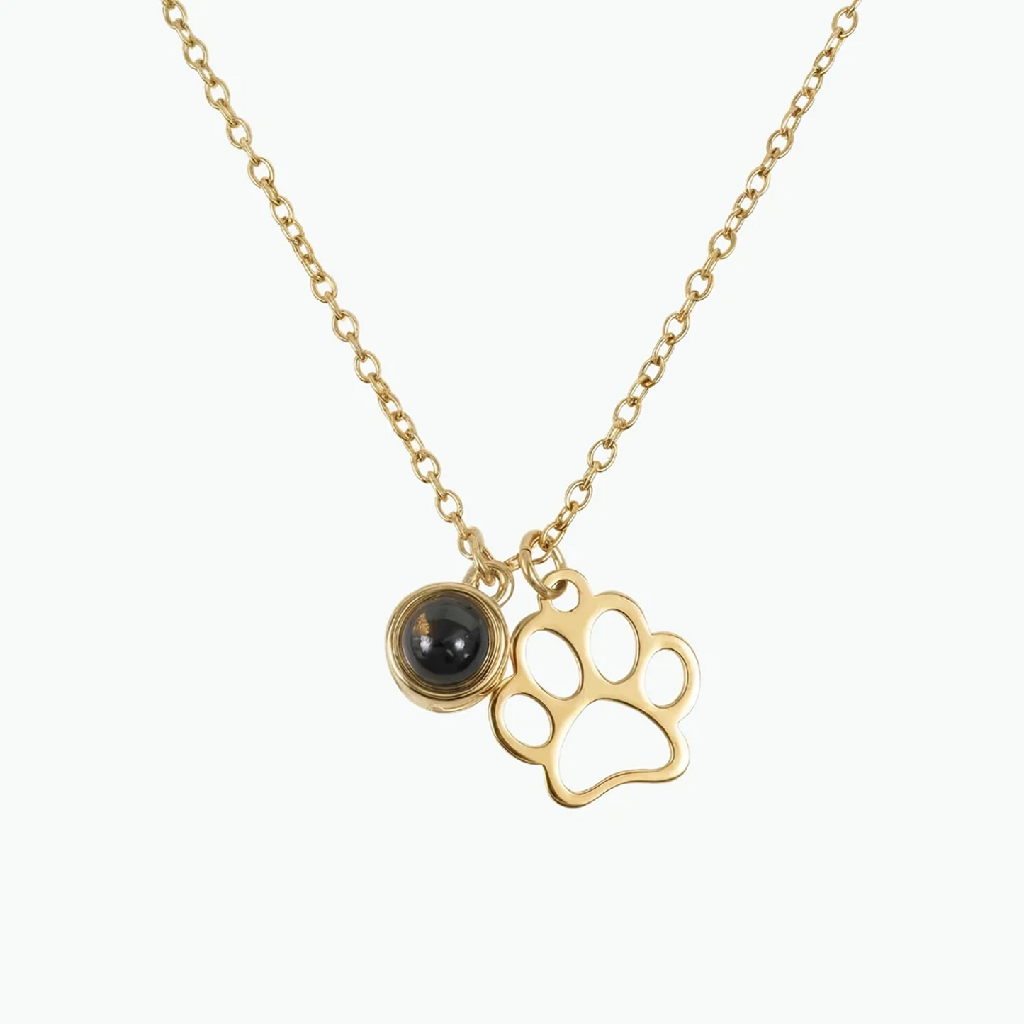 Forever Paw Projection Necklace