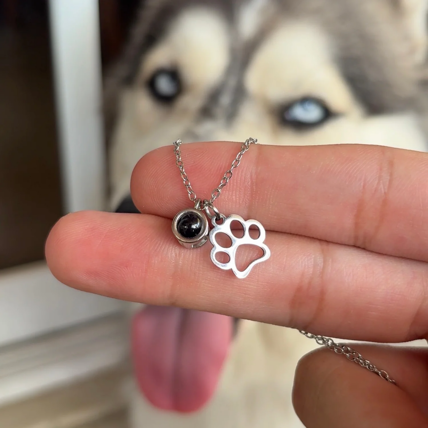 Forever Paw Projection Necklace