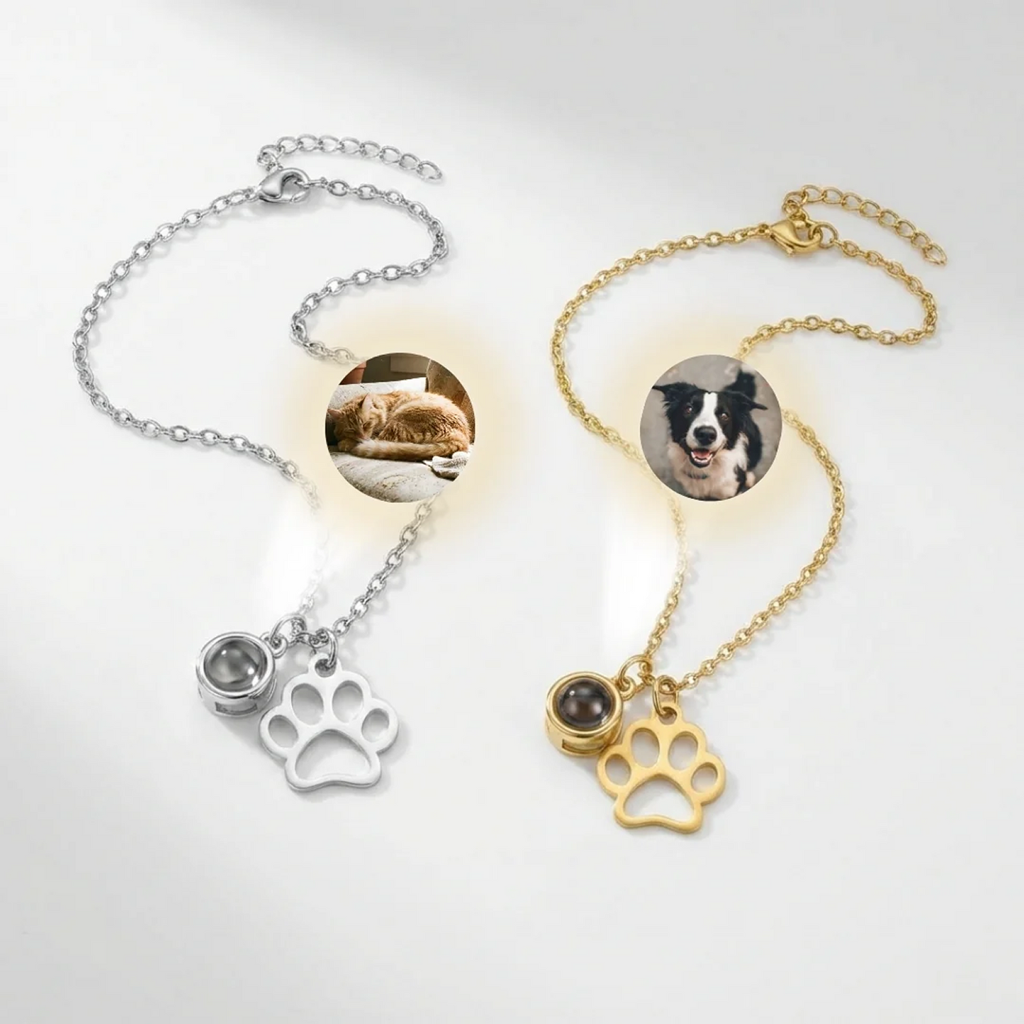 Forever Paw Projection Necklace